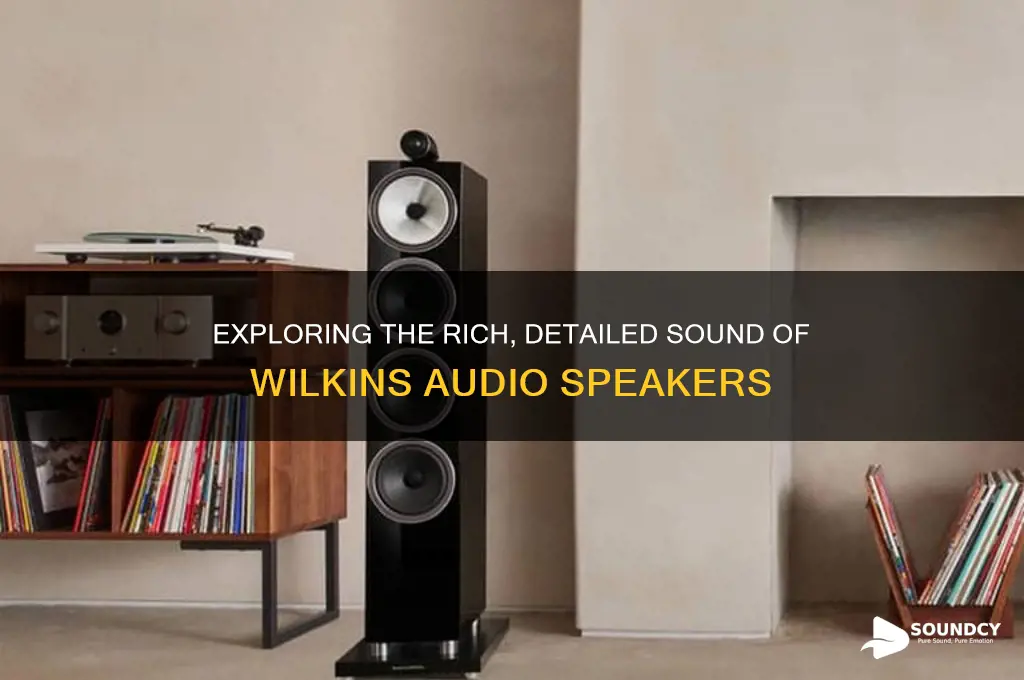 how does wilkins audio sound