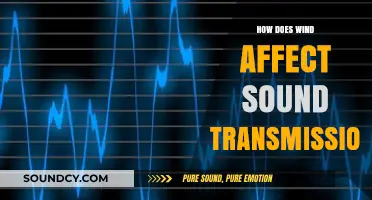 Wind's Impact on Sound: Transmission Dynamics and Environmental Factors