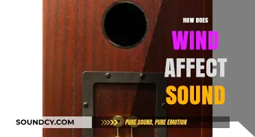 Wind's Impact on Sound: Understanding Acoustic Changes in Nature