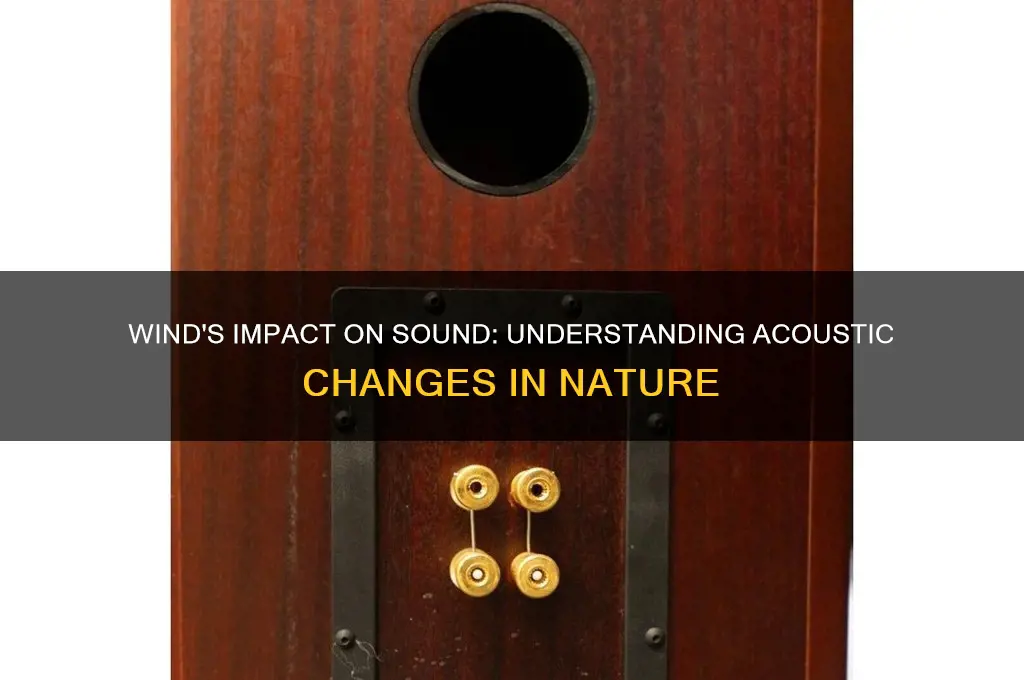 how does wind affect sound