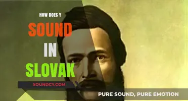 Mastering the Slovak Y Sound: Pronunciation Guide for Language Learners