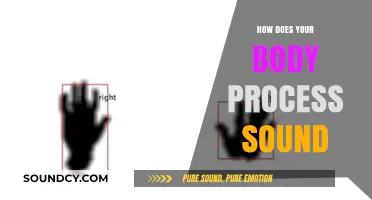Unraveling the Science: How Your Body Processes and Interprets Sound