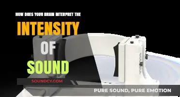 Decoding Sound Intensity: How Your Brain Processes Auditory Loudness