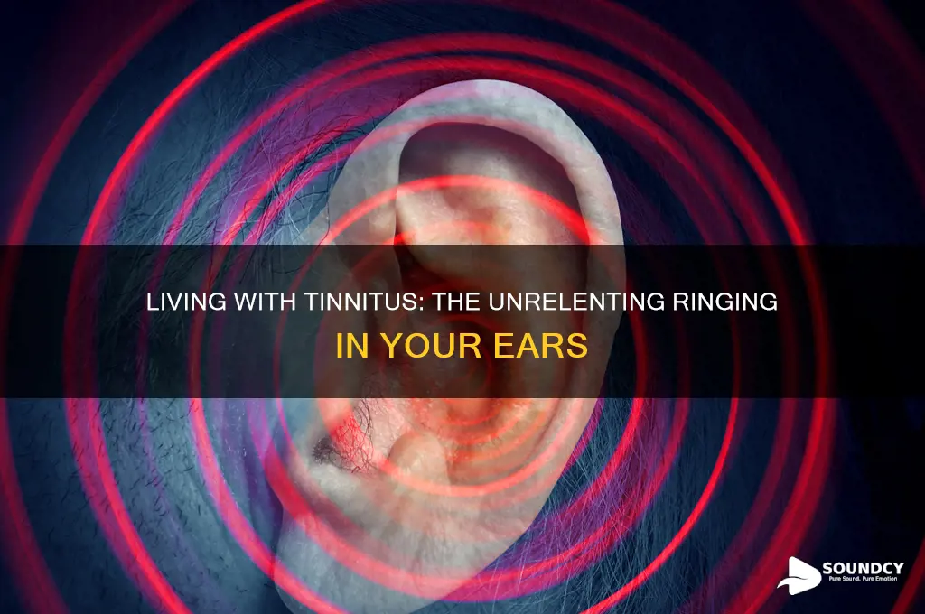 how doesnit sound to have constant ringing in ears