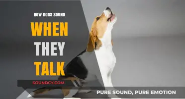 Decoding Dog Speak: Understanding the Unique Sounds of Canine Communication