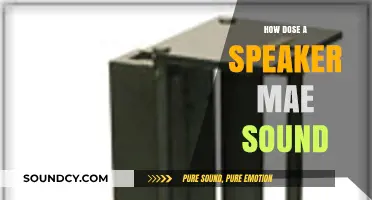 Understanding Speaker Mechanics: How Speakers Transform Electricity into Sound Waves