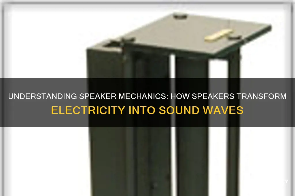 how dose a speaker mae sound
