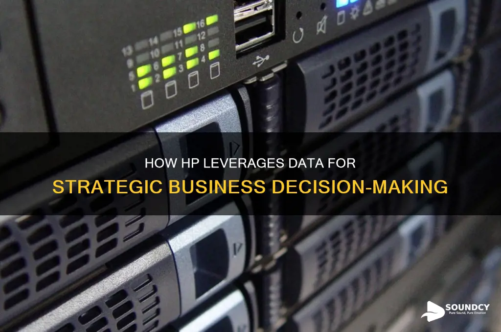 how dose hp getinformation to make sound business decisions