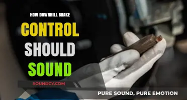 Mastering Downhill Brake Control: The Ideal Sound for Safe Descents