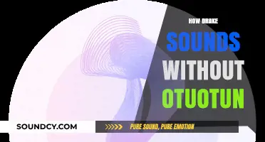Drake's Raw Voice: Unfiltered Sound Without Autotune Magic