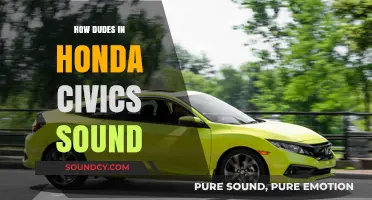 Revving Stereotypes: The Distinct Sound of Honda Civic Drivers