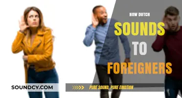 How Dutch Sounds to Foreign Ears: A Unique Linguistic Journey