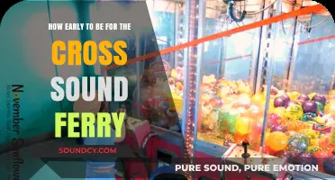Perfect Timing: How Early Should You Arrive for the Cross Sound Ferry?