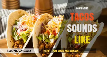 Crunch, Sizzle, Chew: The Audible Joy of Eating Tacos