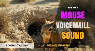 Mastering Mouse Voicemail: Crafting the Perfect Squeak for Your Message