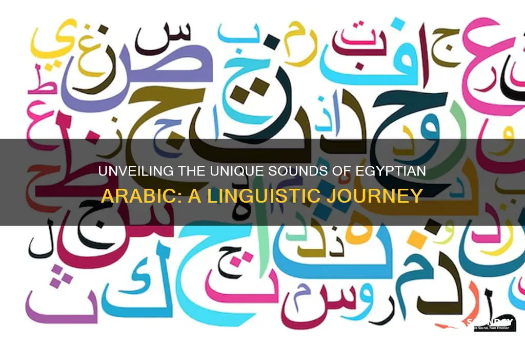 how egyptian laguage sound like
