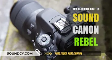 Eliminate Shutter Sound on Canon Rebel: Quick and Easy Guide
