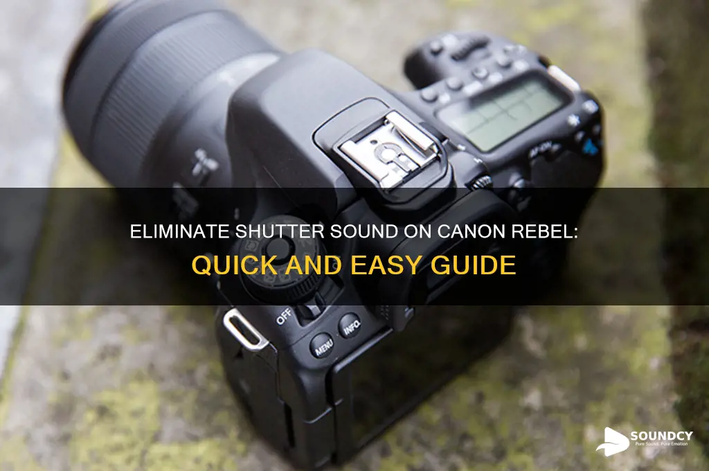 how eliminate shutter sound canon rebel