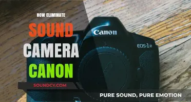 Eliminate Sound on Your Canon Camera: Quick and Easy Steps