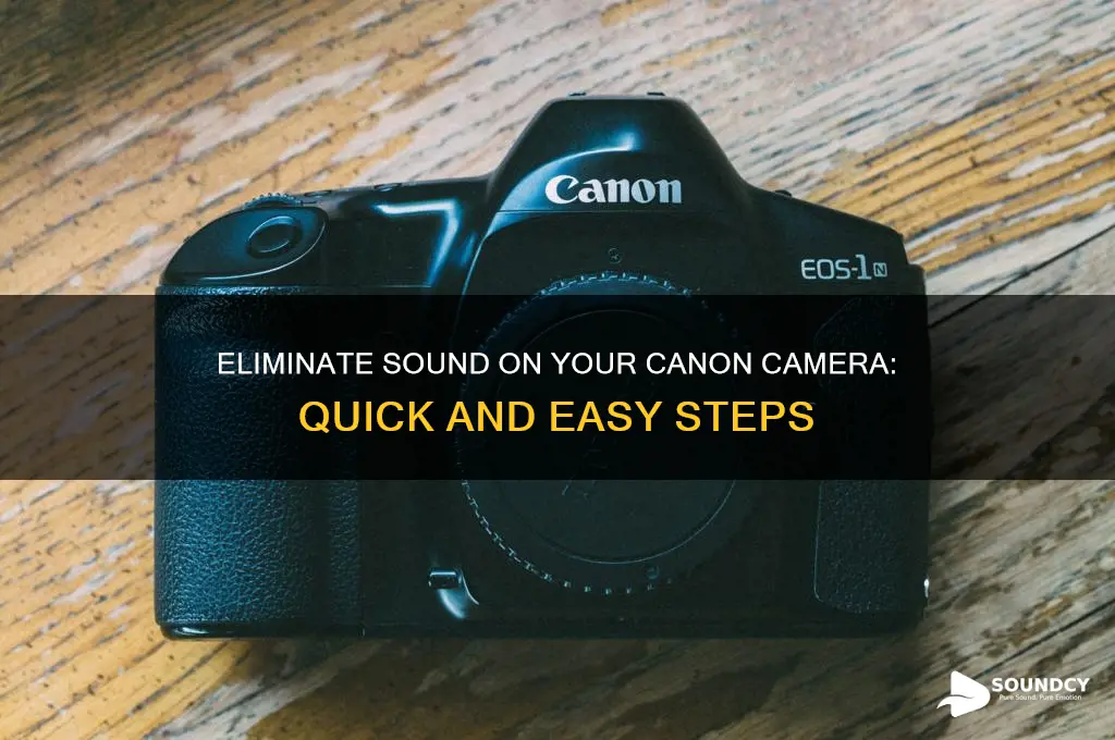 how eliminate sound camera canon