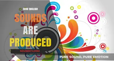 Mastering English Phonetics: Understanding the Art of Sound Production