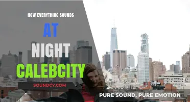 CalebCity's Nighttime Soundscape: Exploring the Unique Echoes After Dark