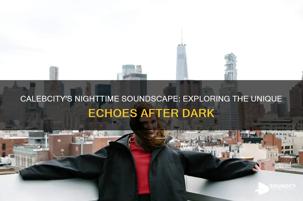 how everything sounds at night calebcity