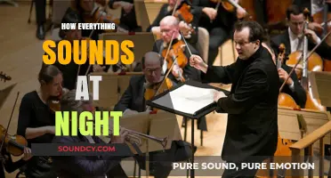 Night's Symphony: Exploring the Unique Sounds of Darkness