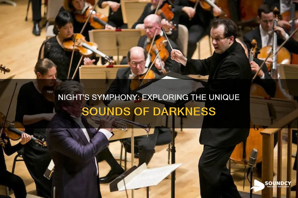 how everything sounds at night