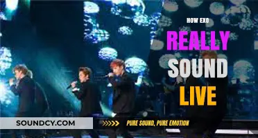 EXO's Live Vocals: Unfiltered, Raw, and Truly Captivating