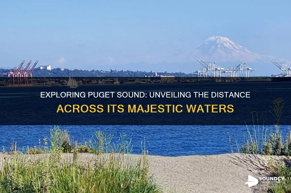 how far across puget sound