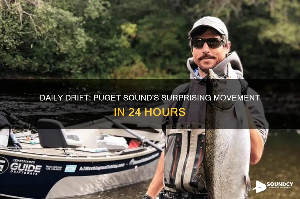 how far does puget sound move in a day