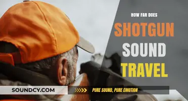 How Far Does Shotgun Sound Travel? Exploring Acoustic Range