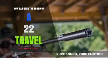 How Far Does the Sound of a .22 Rifle Travel?