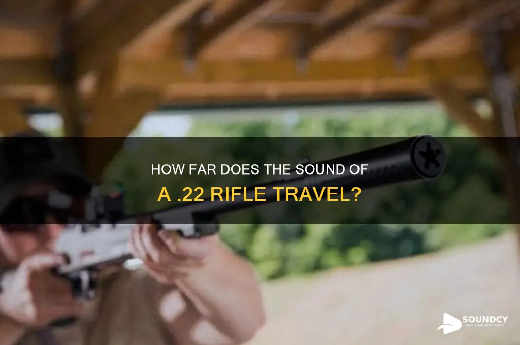 how far does the sound of a 22 travel