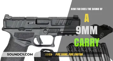 How Far Does a 9mm Gunshot Sound Travel?