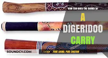 How Far Can a Didgeridoo's Sound Travel? Exploring Its Reach