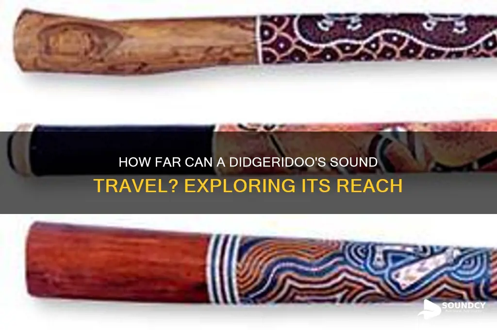 how far does the sound of a digeridoo carry