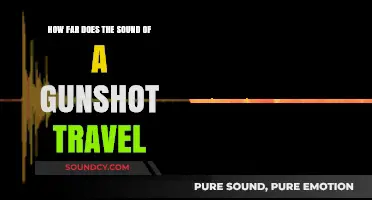 How Far Does a Gunshot Sound Travel in Different Environments?