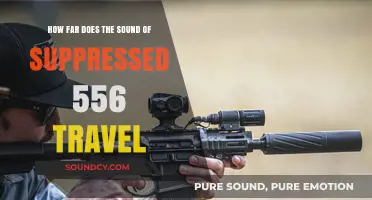 Suppressed 5.56: How Far Does the Sound Travel?