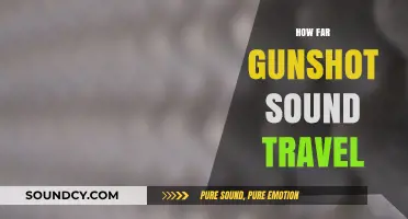 How Far Does a Gunshot Sound Travel? Exploring Acoustic Range