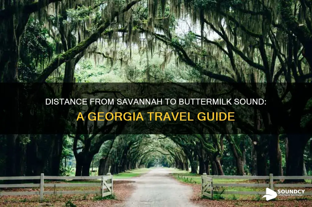 how far is buttermilk sound georgia from savannah georgia