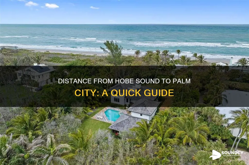 how far is hob sound florida from palm city