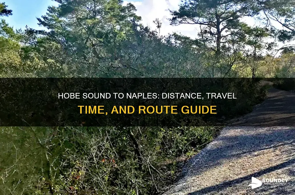 how far is it from hobe sound to naples