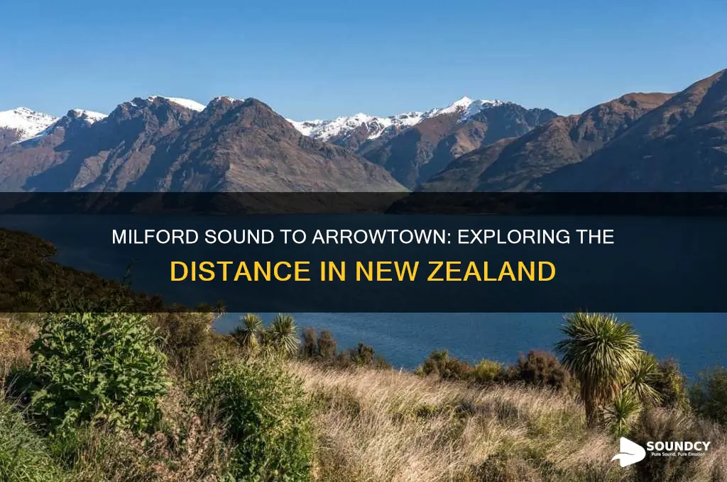 how far is it from milford sound to arrowtown