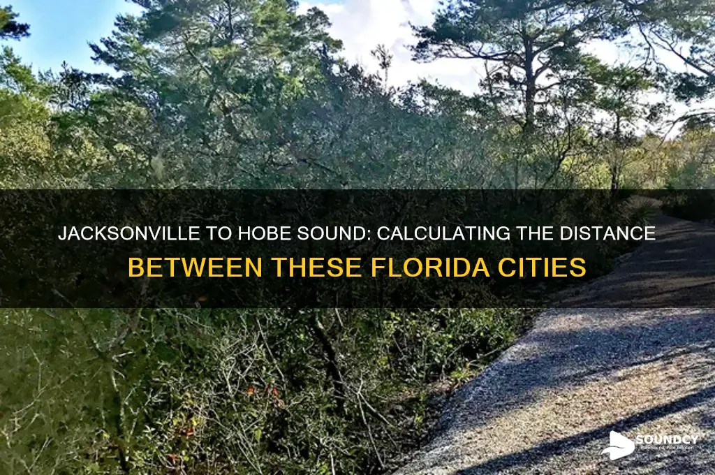 how far is jacksonville fl ftom hobe sound fl
