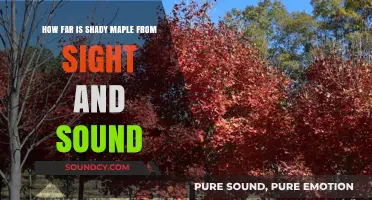 Distance from Shady Maple to Sight & Sound: A Travel Guide