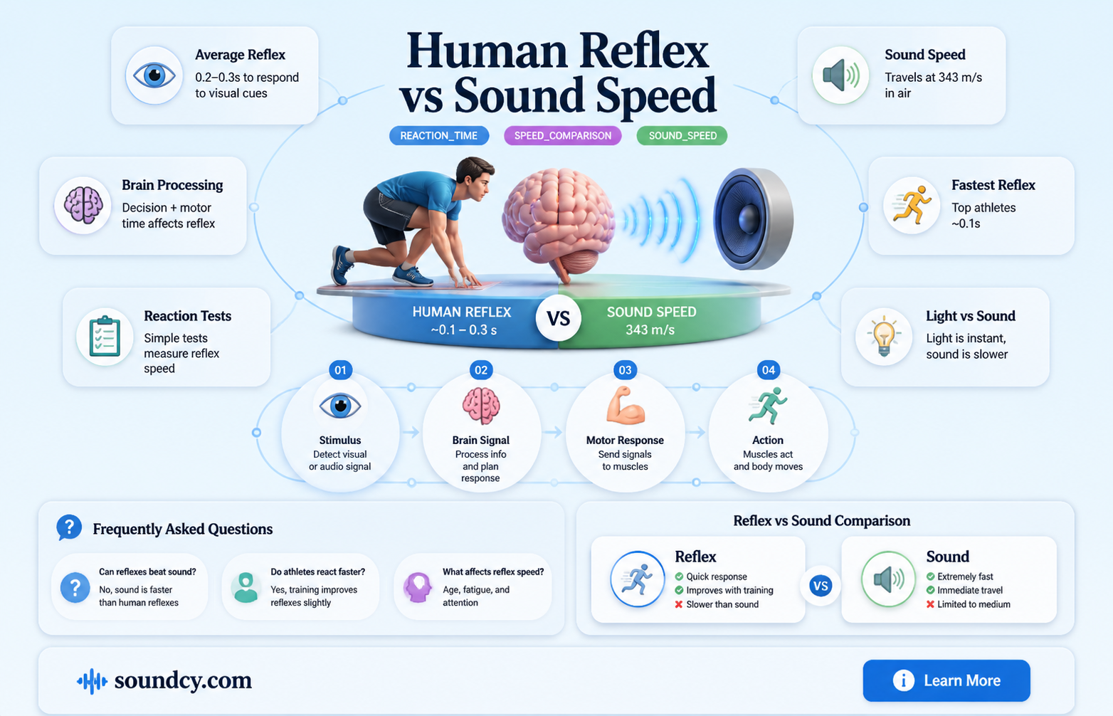 are our reflexes faster than sound