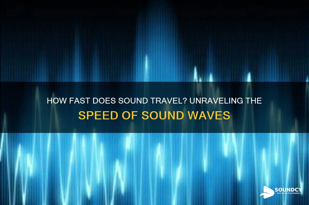 how fast dies sound travel