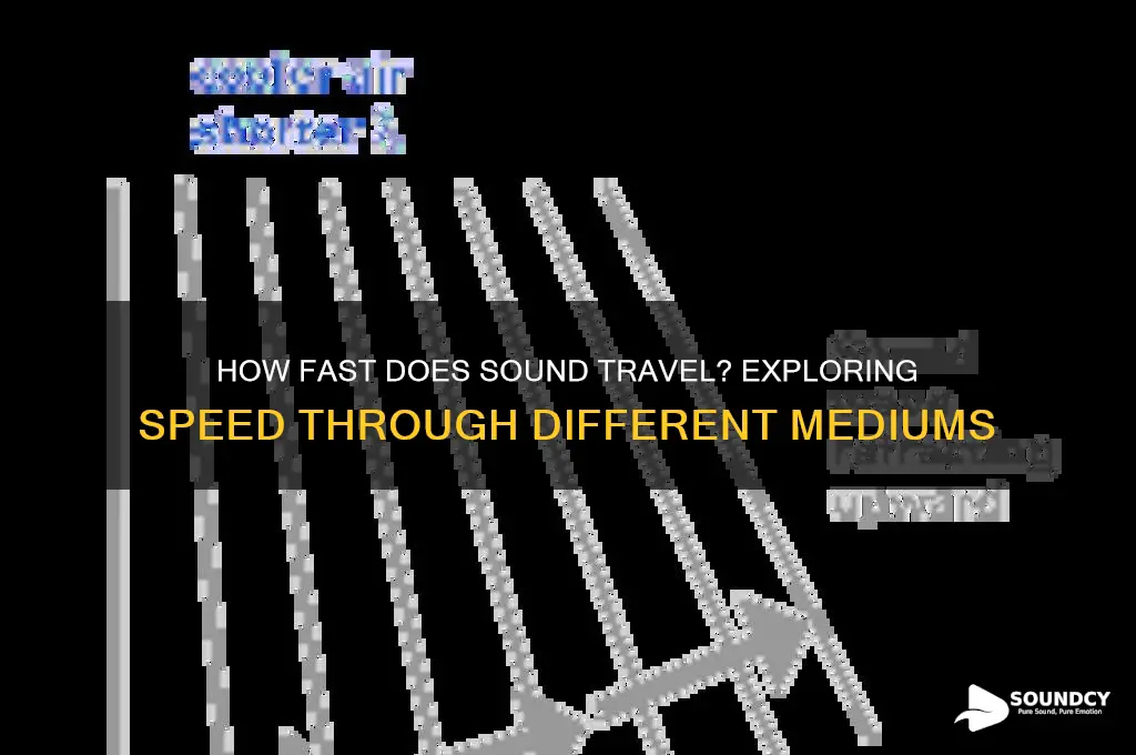 how fast doe sound travel